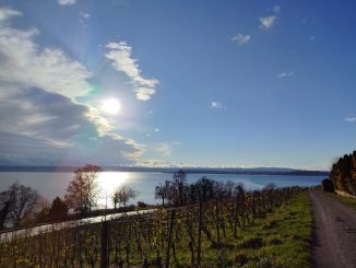 Bodensee im Herbst