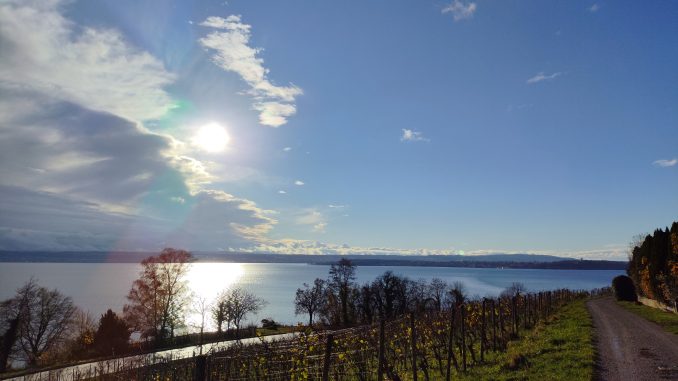 Bodensee im Herbst